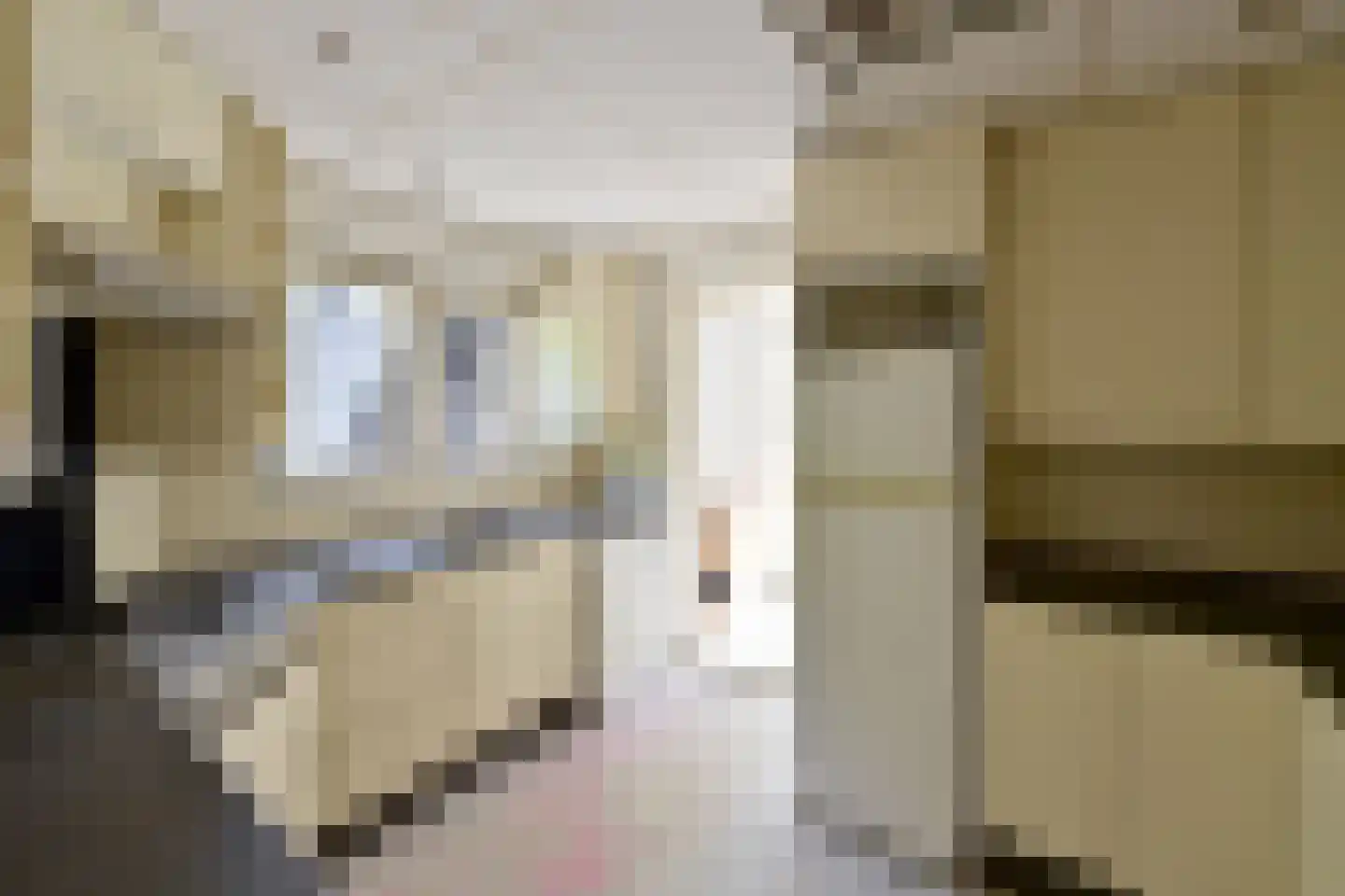 Godelindeweg 2 Hilversum thumbnail 10