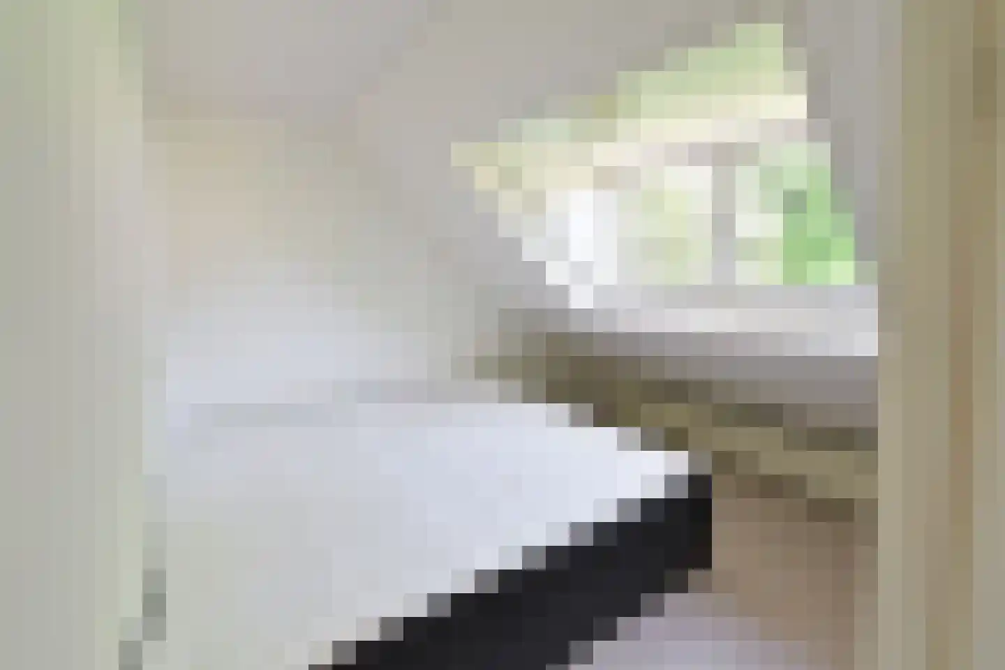 Godelindeweg 2 Hilversum thumbnail 15