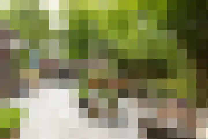 Godelindeweg 4 Naarden thumbnail 34