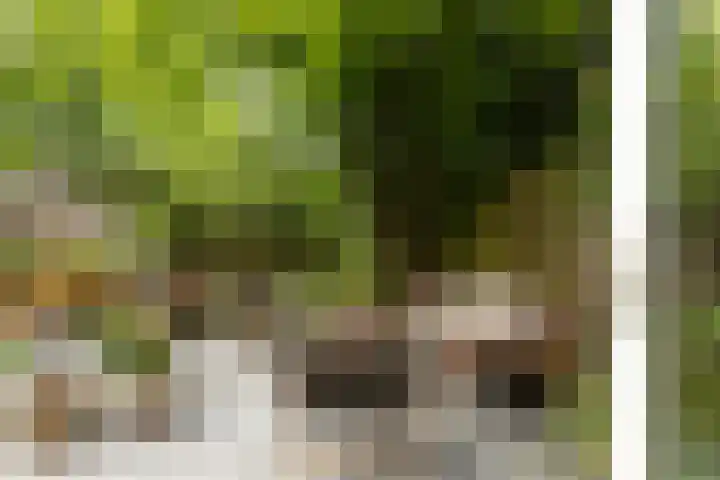 Godelindeweg 4 Naarden thumbnail 35