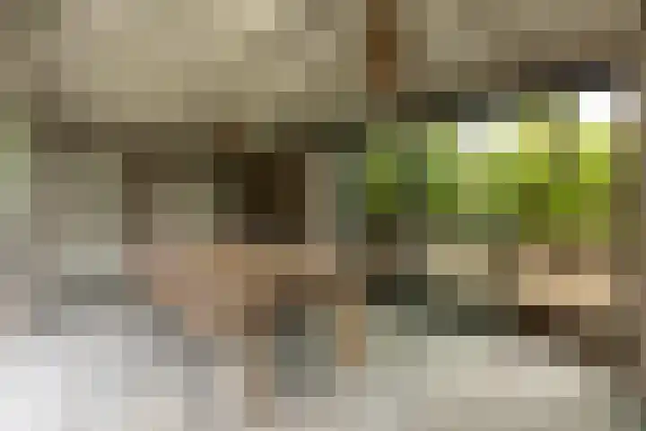 Godelindeweg 4 Naarden thumbnail 38