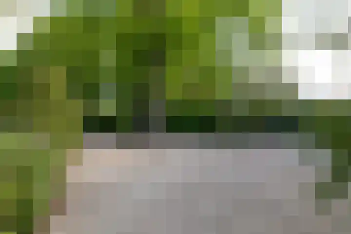 Godelindeweg 4 Naarden thumbnail 4