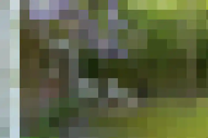 Godelindeweg 4 Naarden thumbnail 40