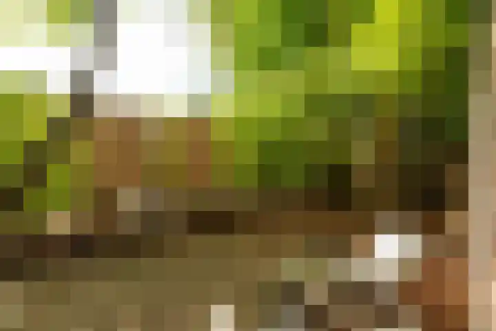 Godelindeweg 4 Naarden thumbnail 41