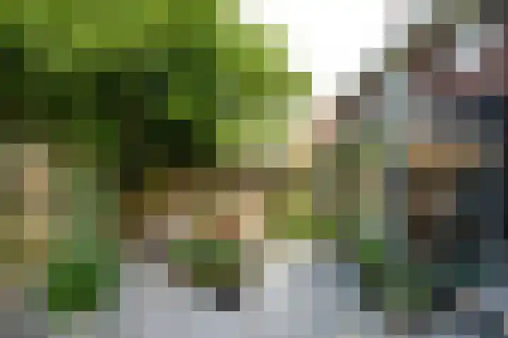 Godelindeweg 4 Naarden thumbnail 42