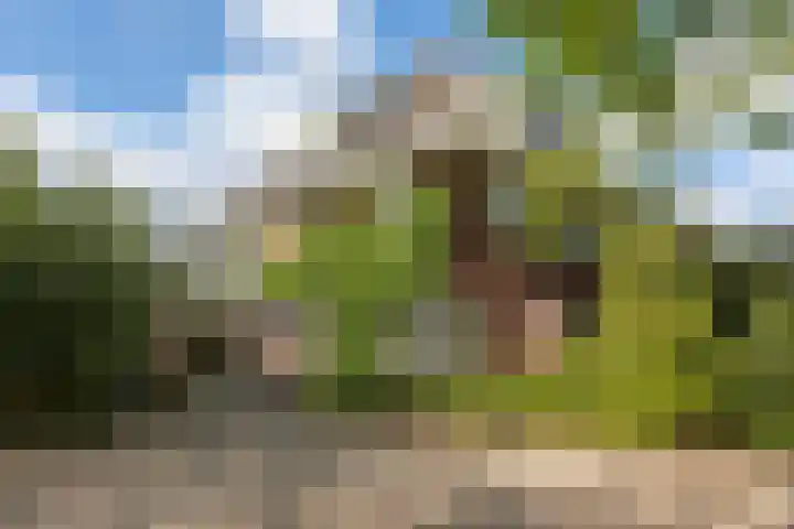 Godelindeweg 4 Naarden thumbnail 48