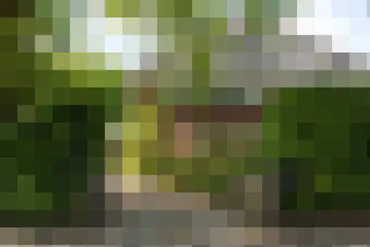 Godelindeweg 4 Naarden thumbnail 5