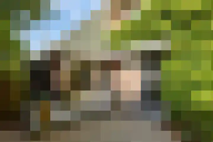 Godelindeweg 4 Naarden thumbnail 6