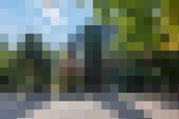 Godelindeweg 50 Naarden thumbnail 4