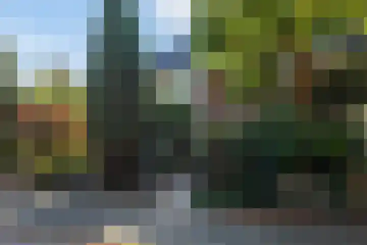Godelindeweg 50 Naarden thumbnail 5