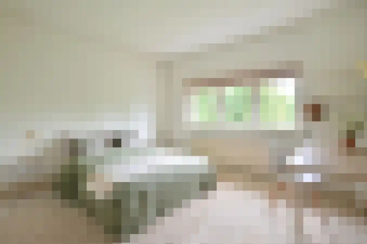 Godelindeweg 6 Naarden thumbnail 12