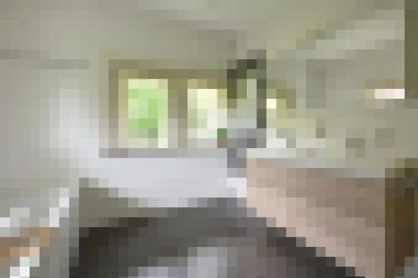 Godelindeweg 6 Naarden thumbnail 15