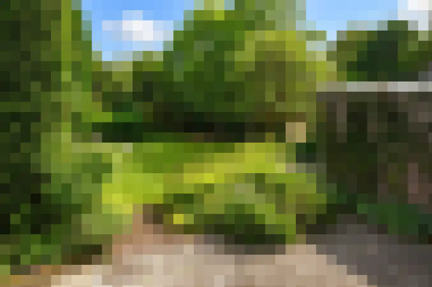 Godelindeweg 6 Naarden thumbnail 25