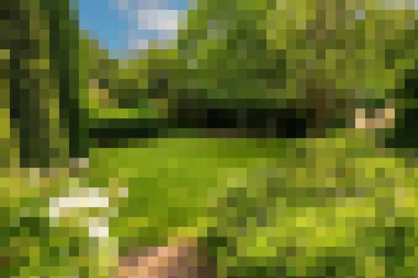 Godelindeweg 6 Naarden thumbnail 26