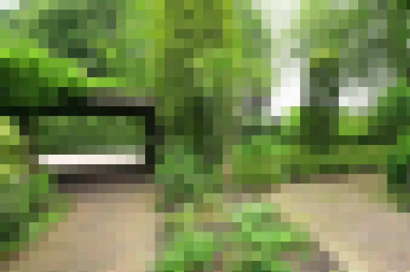 Godelindeweg 6 Naarden thumbnail 27