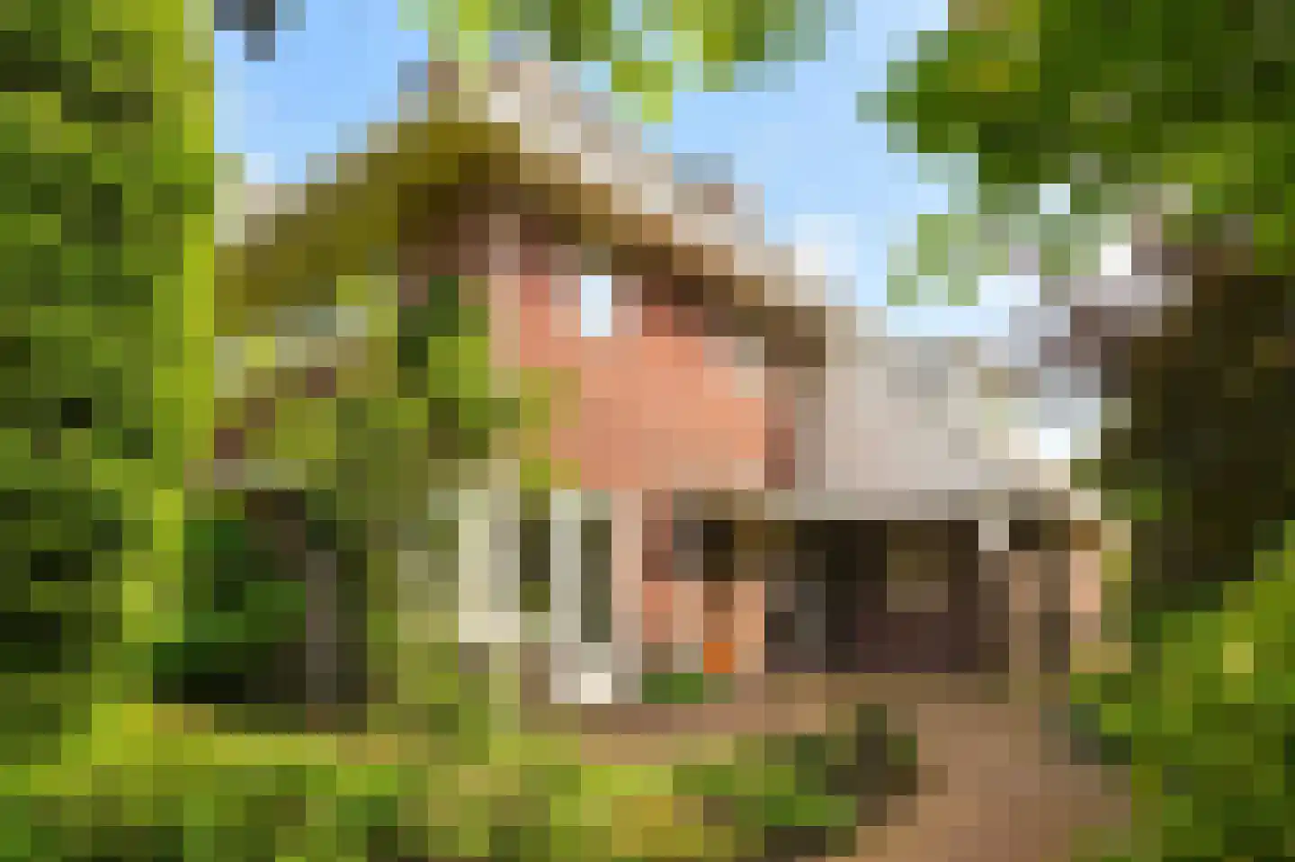 Godelindeweg 6 Naarden thumbnail 4