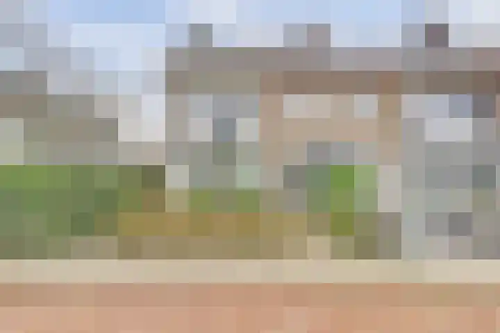 Godetia 26 in Dordrecht