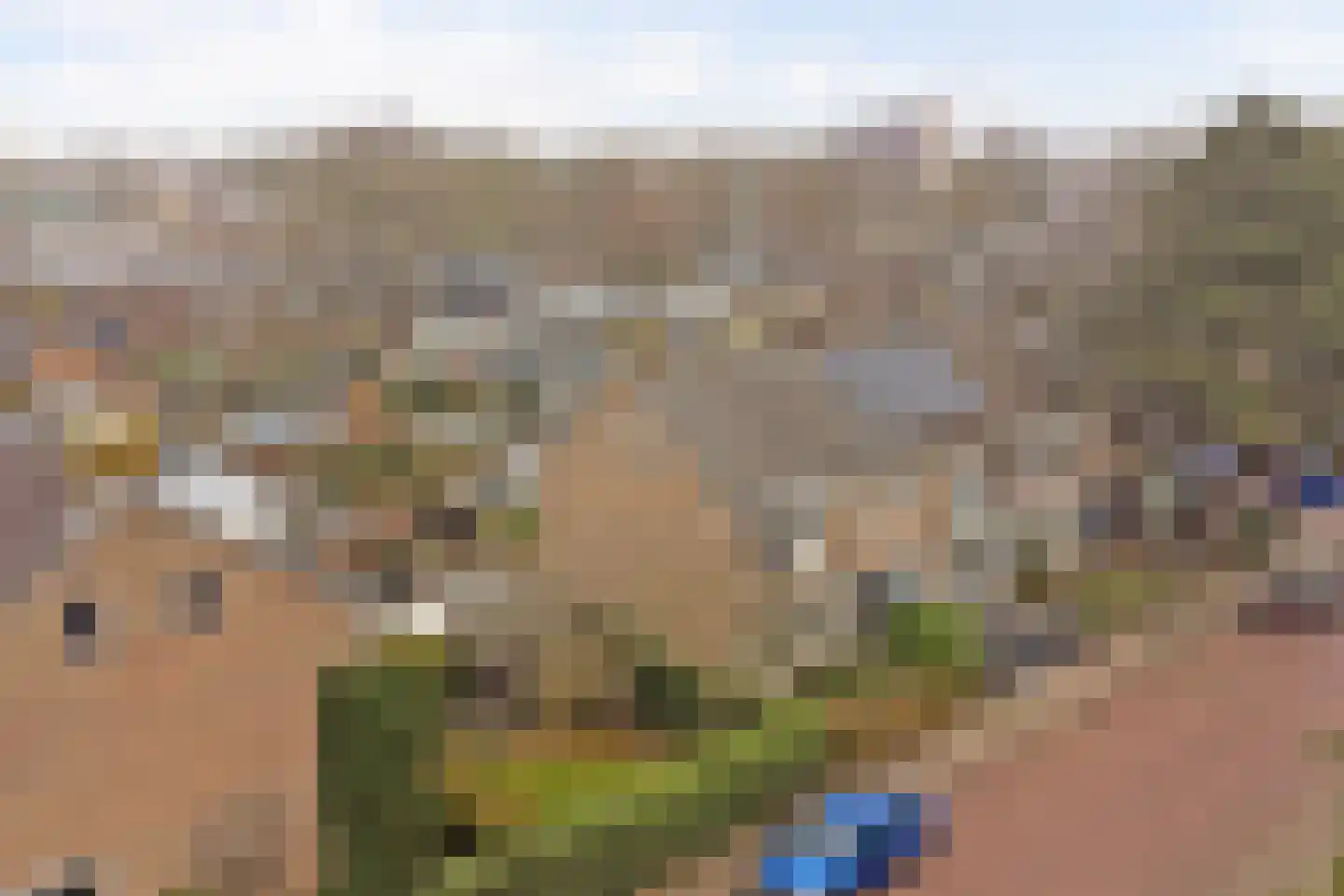 Godetia 26 Dordrecht thumbnail 33