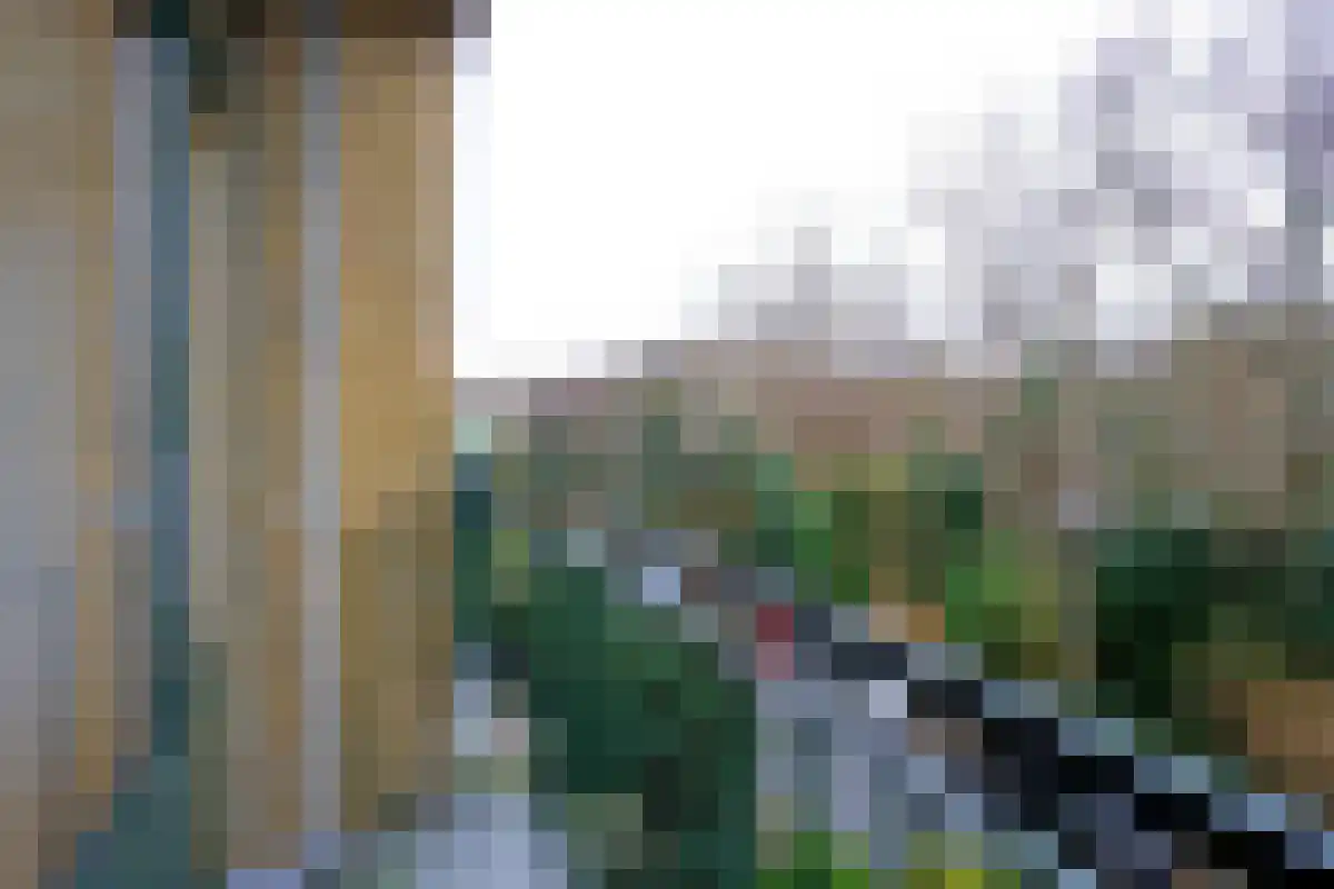 Godetiaweg 141 Den Haag thumbnail 5