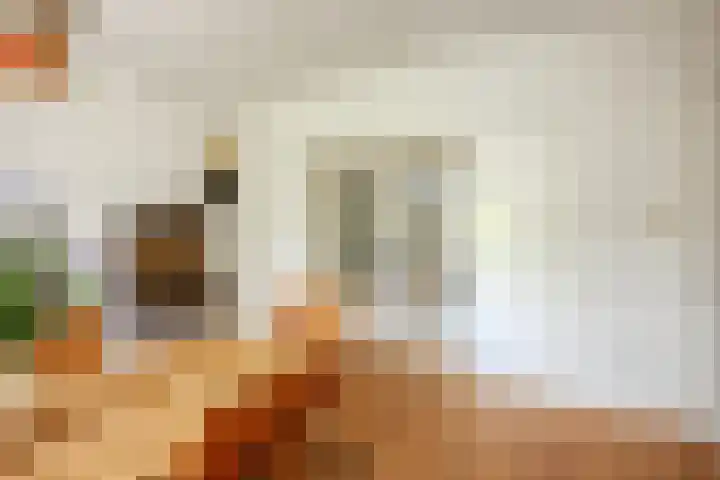 Godetiaweg 56 Den Haag thumbnail 11