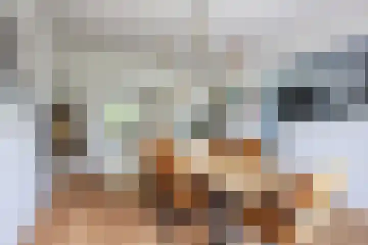 Godetiaweg 56 Den Haag thumbnail 12
