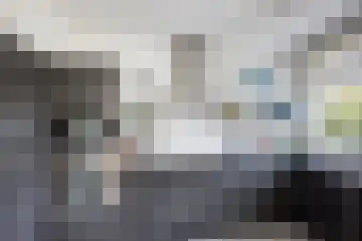 Godetiaweg 56 Den Haag thumbnail 13