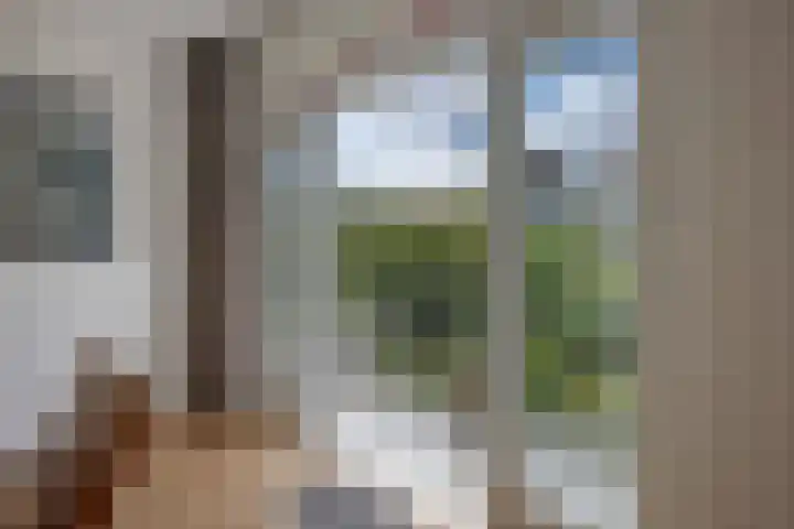Godetiaweg 56 Den Haag thumbnail 16
