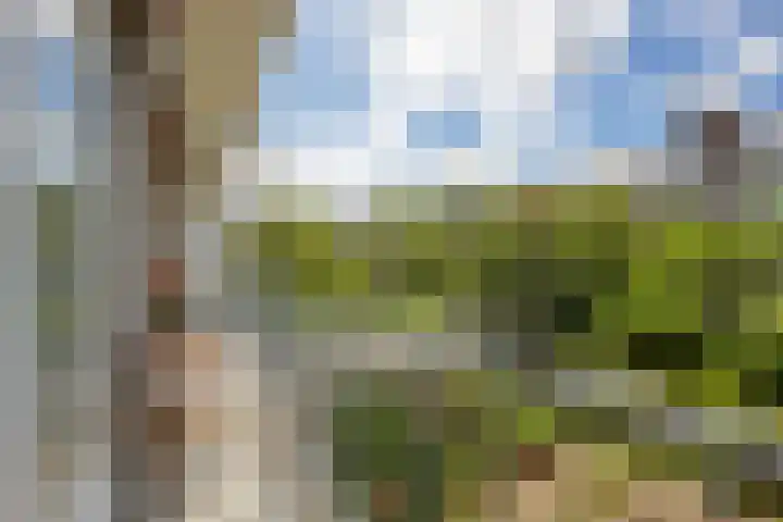Godetiaweg 56 Den Haag thumbnail 17