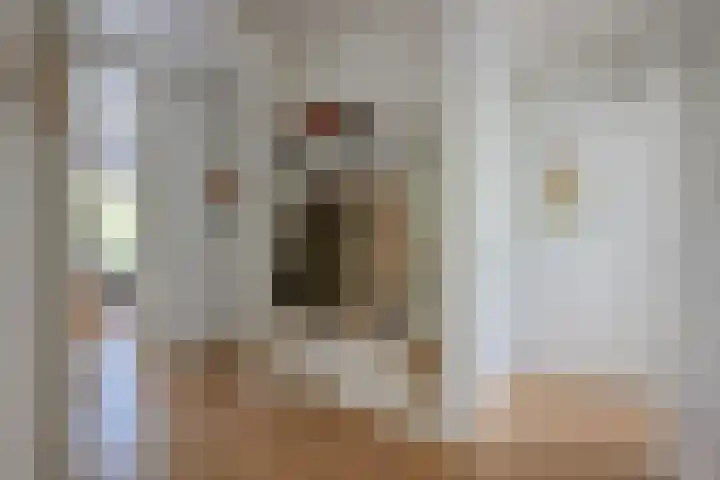 Godetiaweg 56 Den Haag thumbnail 19