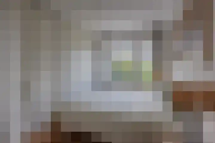 Godetiaweg 56 Den Haag thumbnail 20