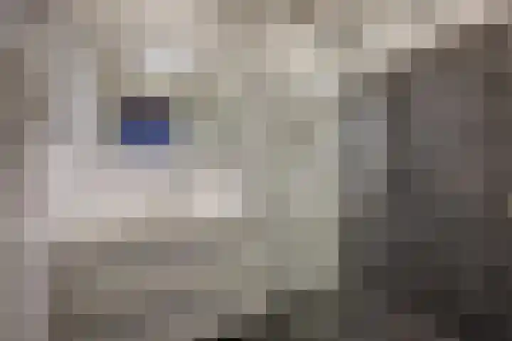 Godetiaweg 56 Den Haag thumbnail 21