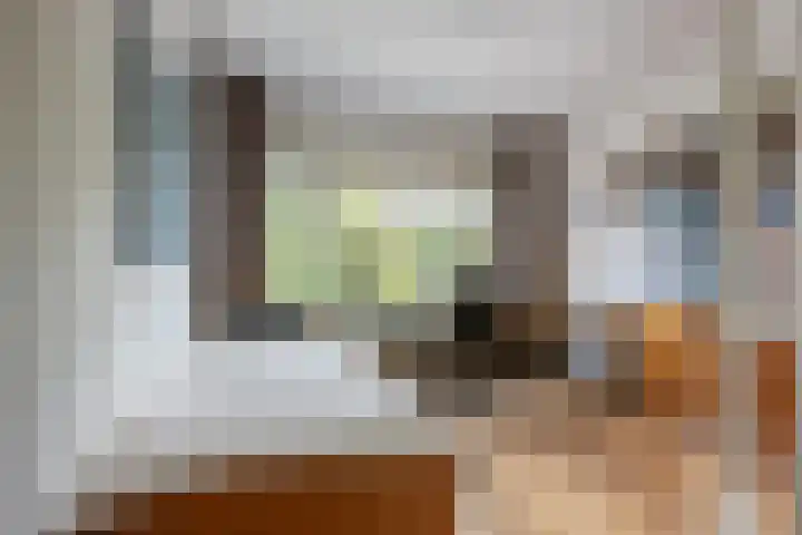 Godetiaweg 56 Den Haag thumbnail 24