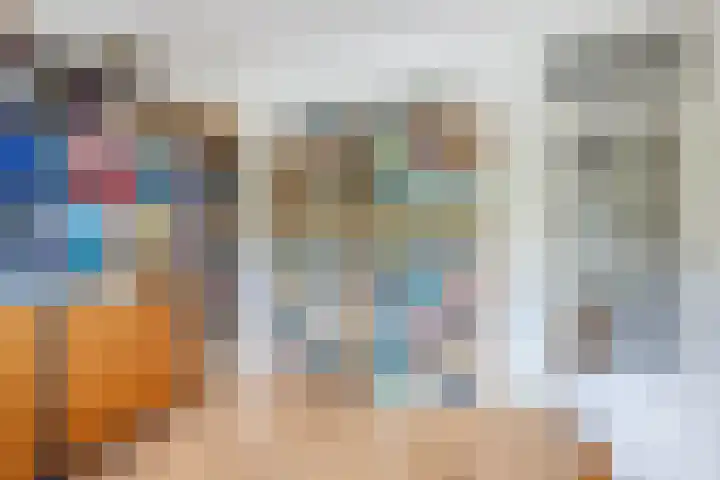 Godetiaweg 56 Den Haag thumbnail 25