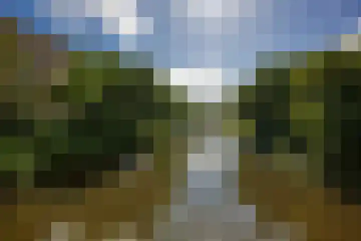 Godetiaweg 56 Den Haag thumbnail 29