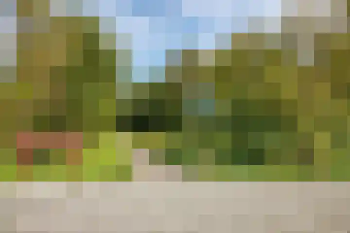Godetiaweg 56 Den Haag thumbnail 30