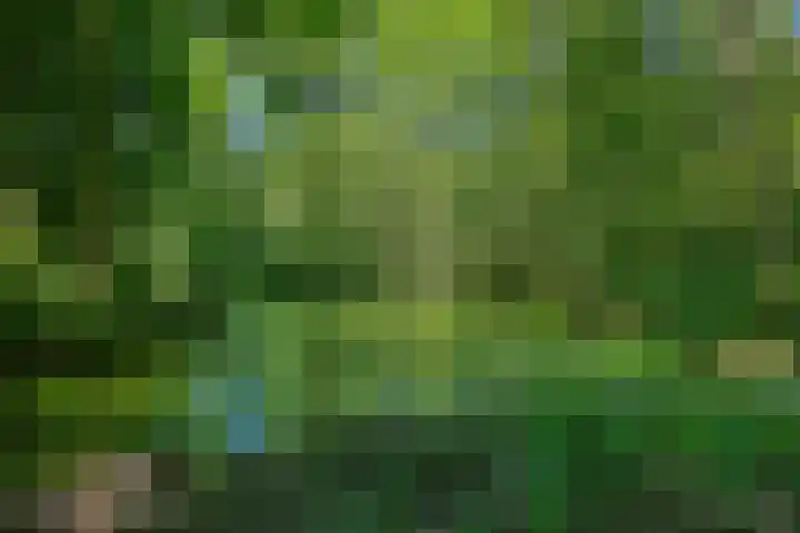 Godetiaweg 56 Den Haag thumbnail 32