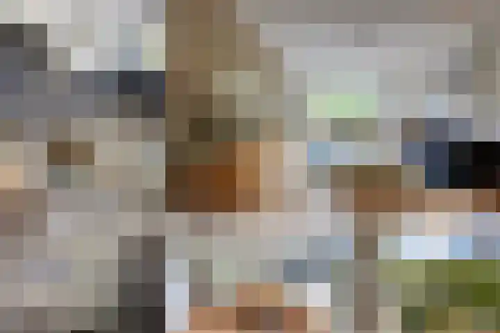 Godetiaweg 56 Den Haag thumbnail 34