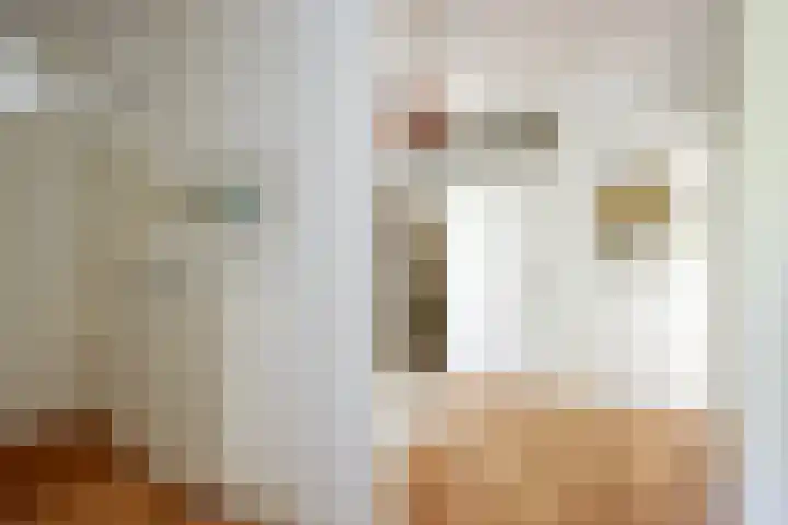 Godetiaweg 56 Den Haag thumbnail 4