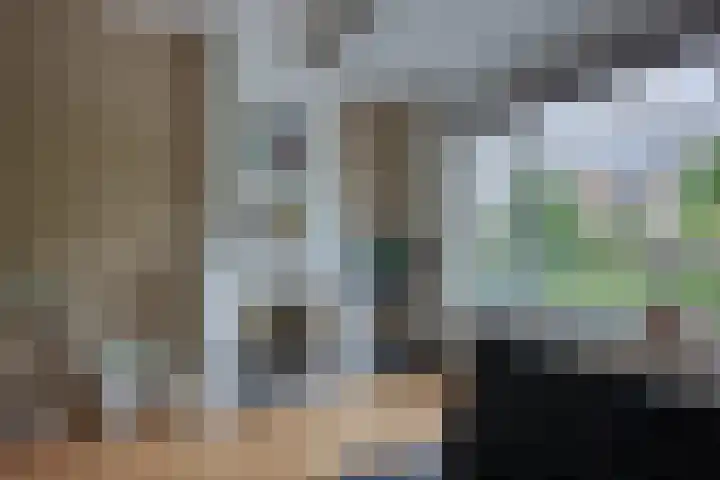 Godetiaweg 56 Den Haag thumbnail 8