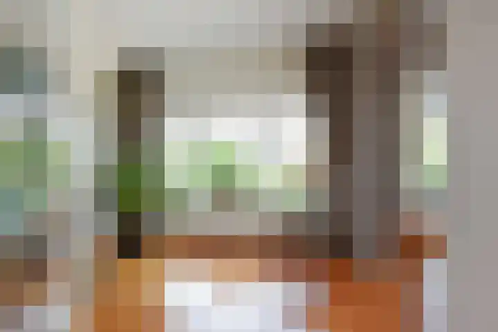 Godetiaweg 66 Den Haag thumbnail 10