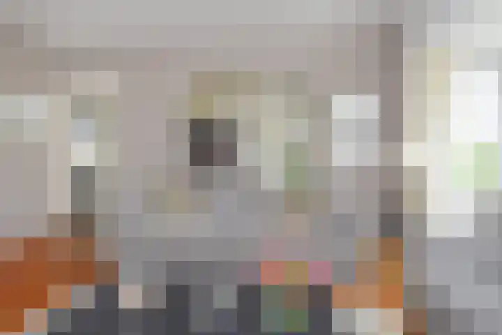 Godetiaweg 66 Den Haag thumbnail 11