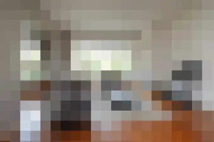 Godetiaweg 66 Den Haag thumbnail 14