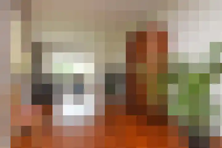 Godetiaweg 66 Den Haag thumbnail 16