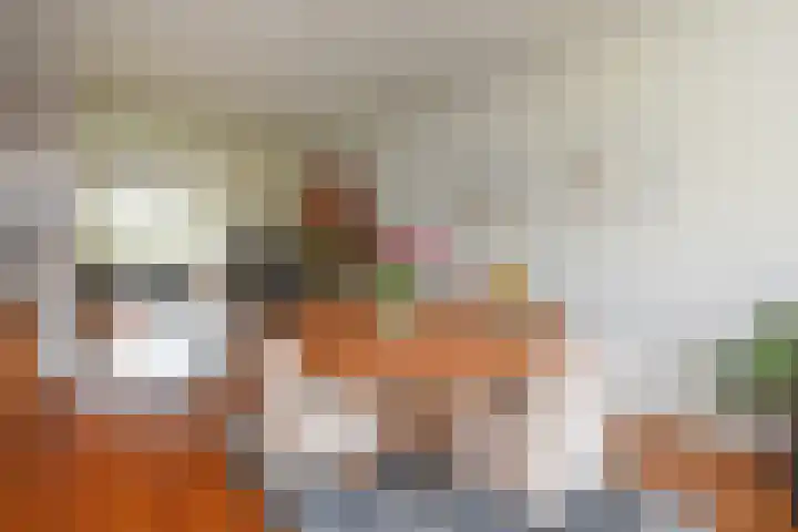 Godetiaweg 66 Den Haag thumbnail 17