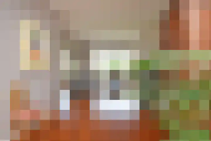 Godetiaweg 66 Den Haag thumbnail 19