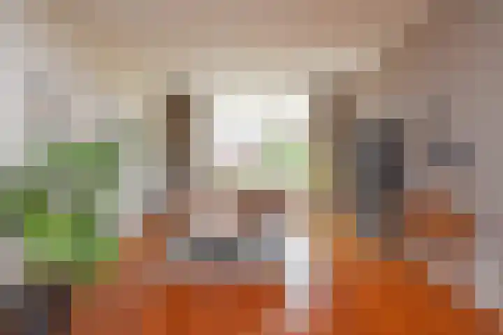 Godetiaweg 66 Den Haag thumbnail 20