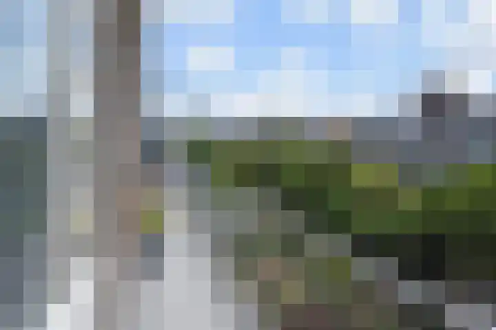 Godetiaweg 66 Den Haag thumbnail 23