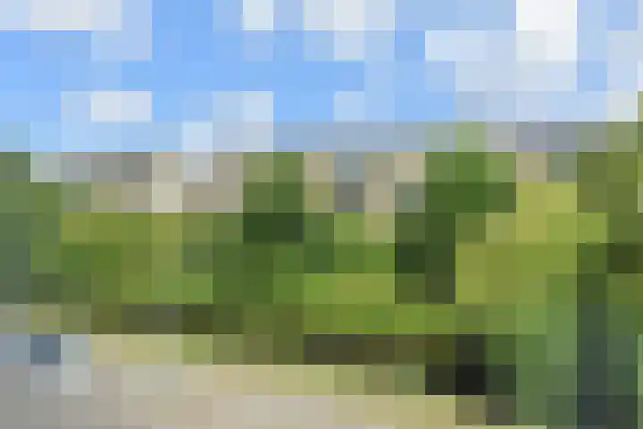 Godetiaweg 66 Den Haag thumbnail 24