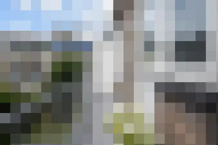 Godetiaweg 66 Den Haag thumbnail 26