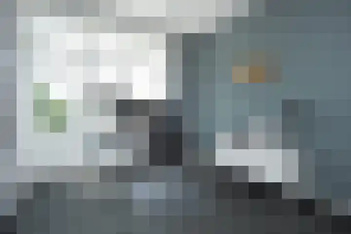 Godetiaweg 66 Den Haag thumbnail 27